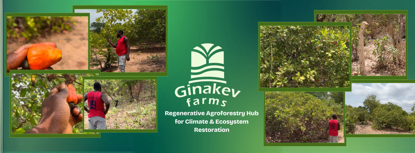 Ginakev Farms