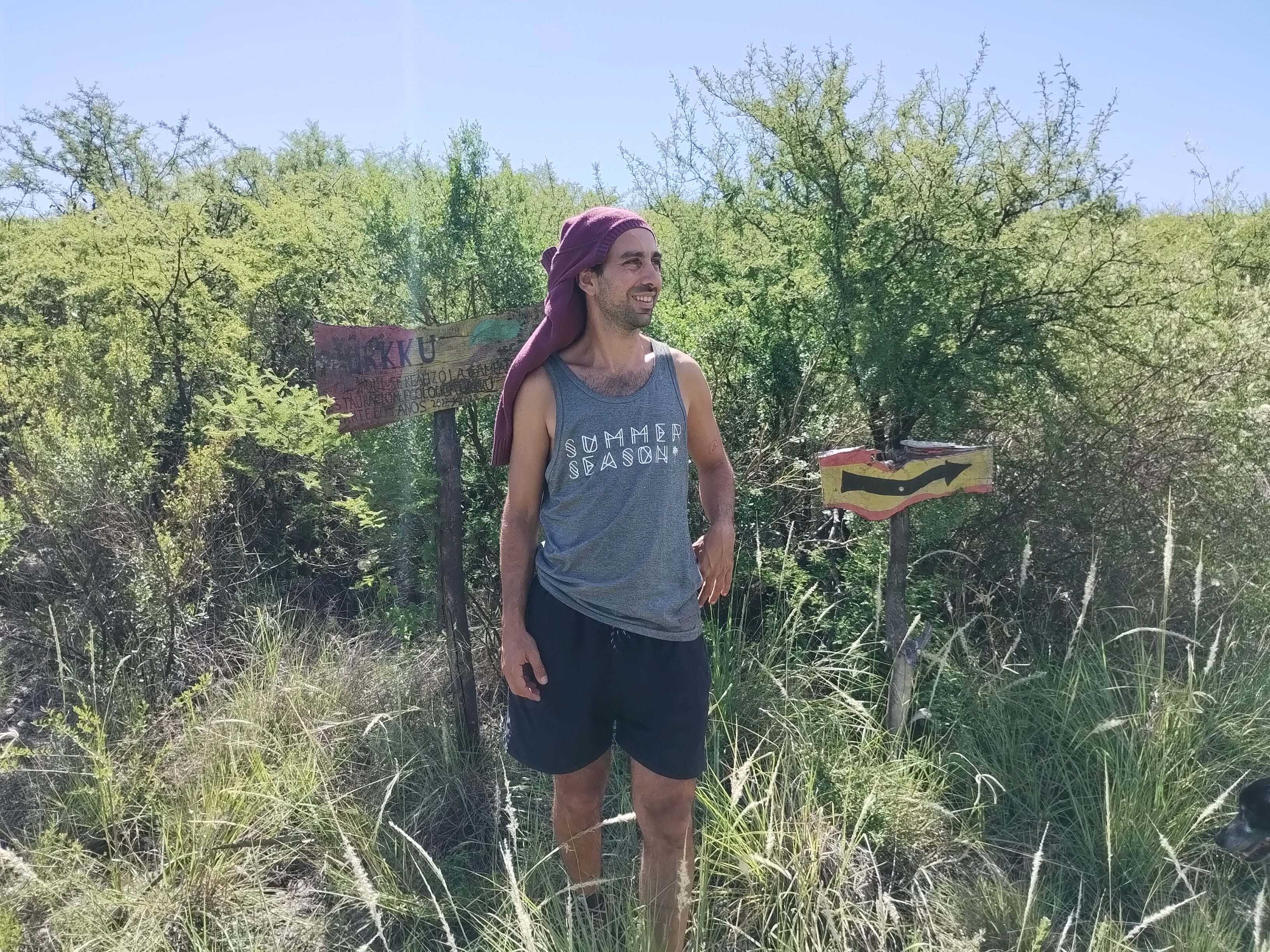 Awesome Fork Forest