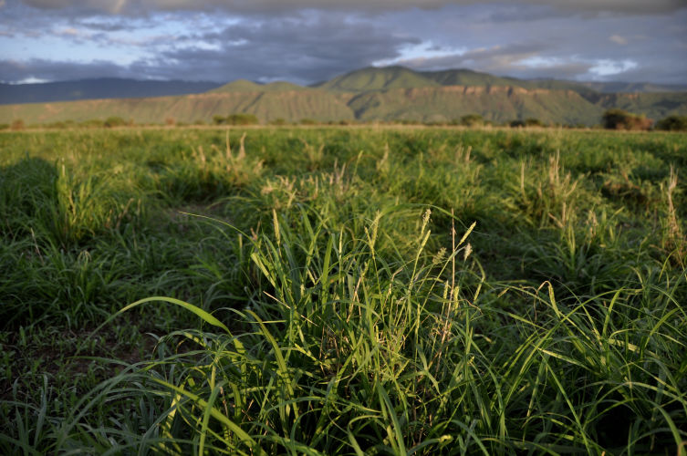 South Rift Association of Landowners