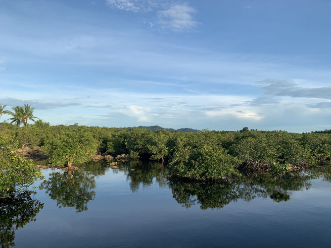 Project Pulo