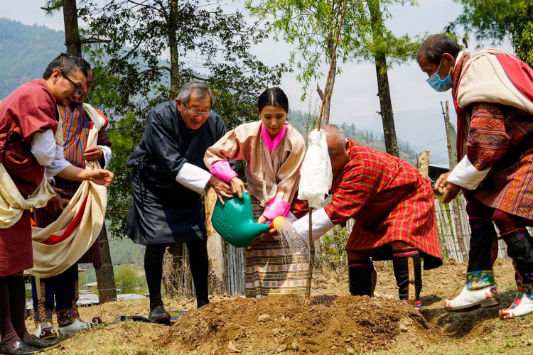 Million Trees Project
