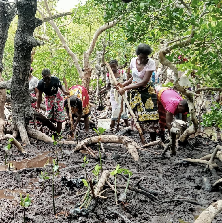 Community-Based Environmental Conservation