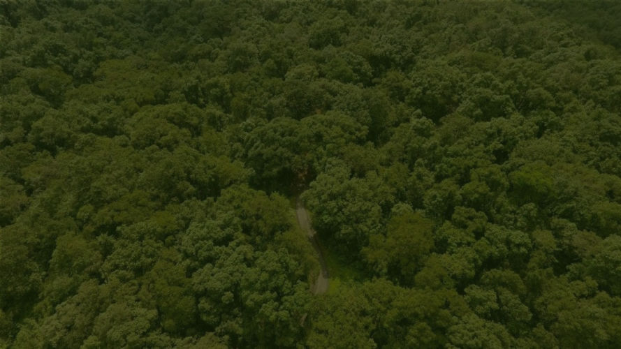 FORREST – Forest Regeneration and Environmental Sustainability Trust