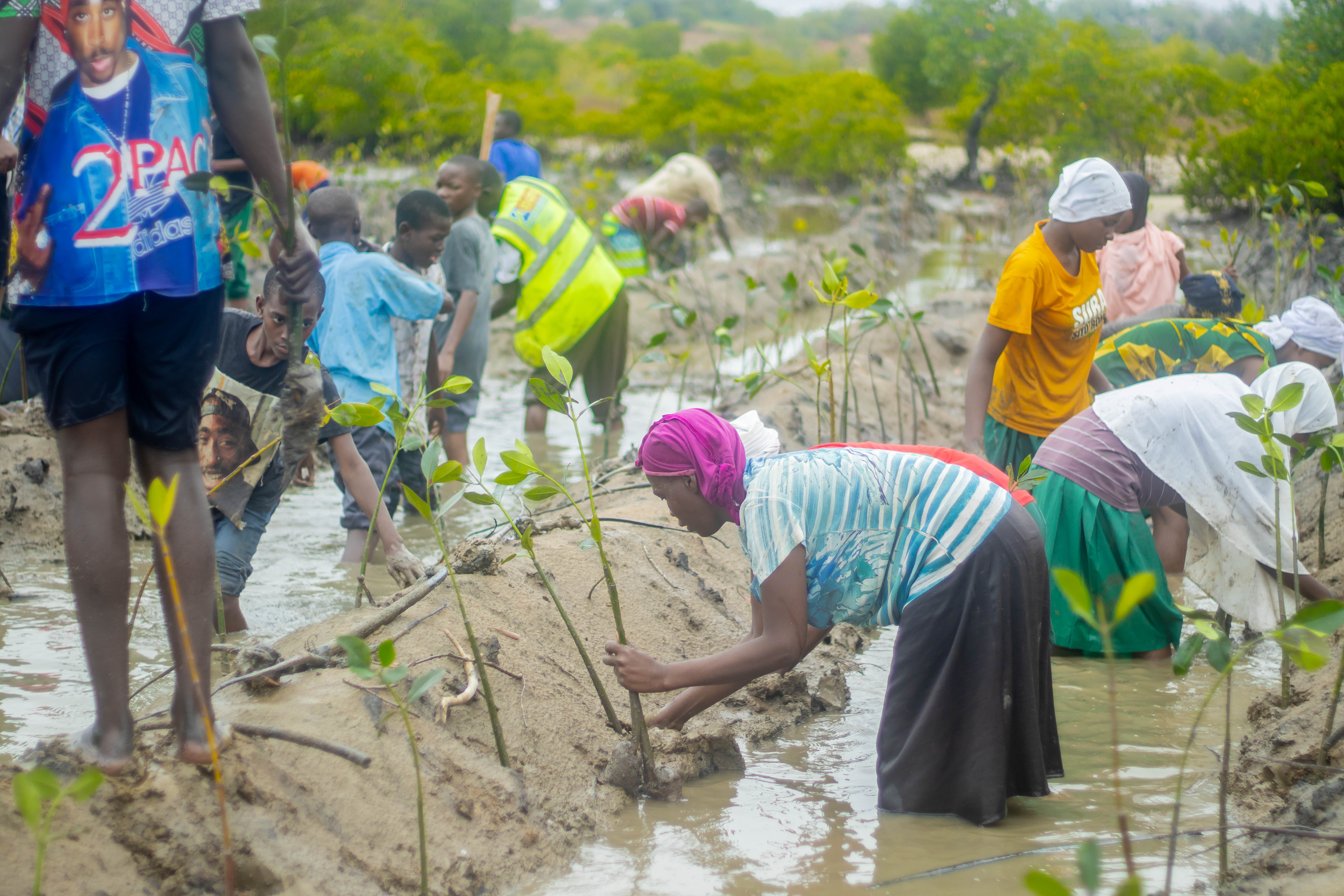 Africa Climate and Environment Foundation