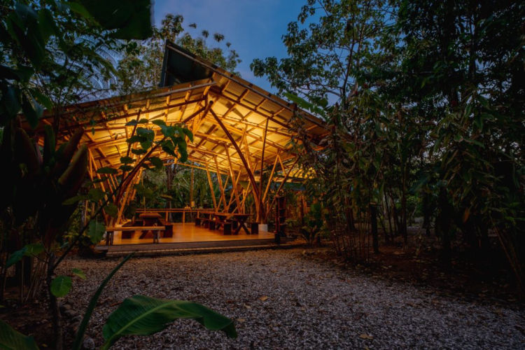 La Cotinga Biological Station