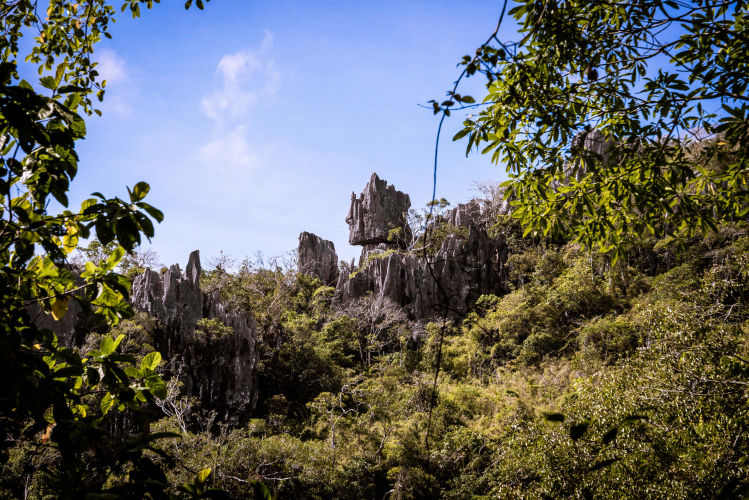 Masungi Georeserve Foundation