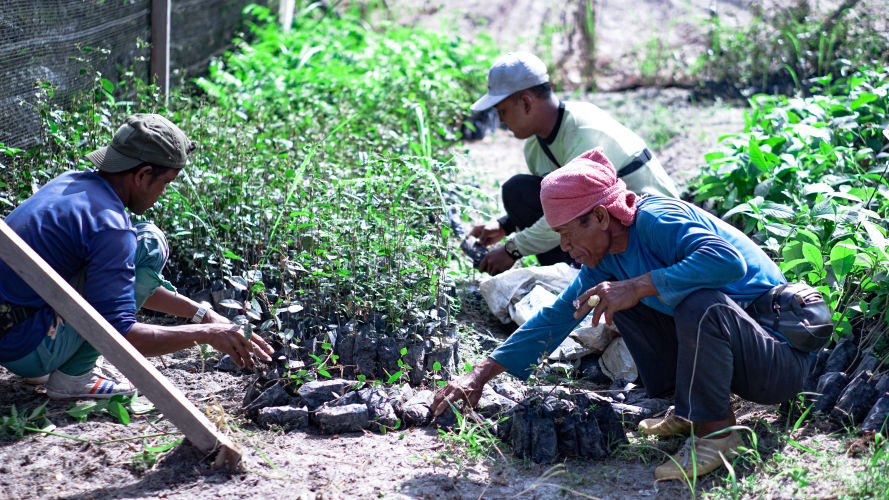 Pandu Alam Lestari Foundation
